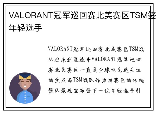VALORANT冠军巡回赛北美赛区TSM签下年轻选手